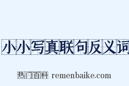 小小写真联句反义词是什么意思的图片